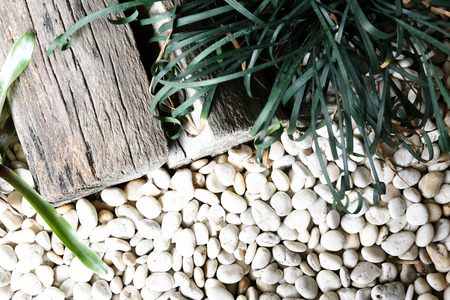 rocks on the groundの写真素材