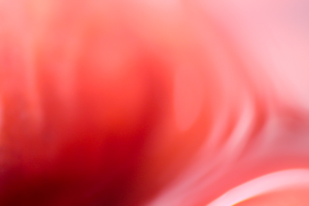 Blur image Background colorの写真素材