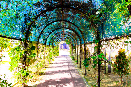 Walkway into gardenの写真素材