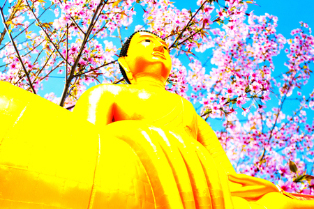 Buddha statue,Big golden Buddha statue in Thailandの写真素材