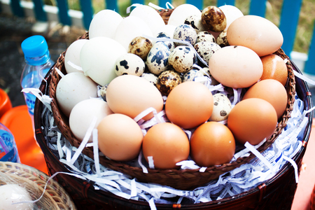 eggs on eggs backgroundの写真素材