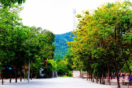 empty land natural tree in local Thailand Temple area