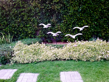 Nicely decorated garden with stones and plants (home)の写真素材