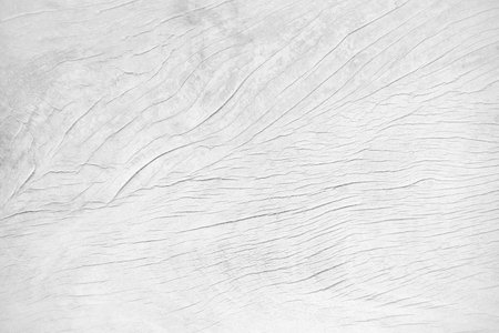 The white wood surface with stripes and natural dust for texture copy space for backgroundの写真素材