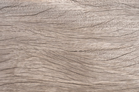 Light brown wood surface old beautiful natural cracks on the surface for background texture and copy spaceの写真素材