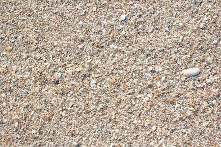 Background Made of a Pile of Seashells on the Beach Sandの写真素材