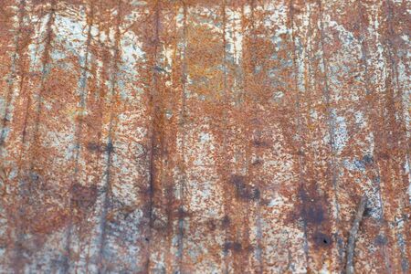 Tin Roof abstract rusty in the garden areaの写真素材