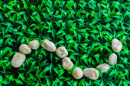 Real rocks are waving on the artificial grass