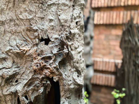 Beautiful of nature garden or park decorated with natural wood, bark, log, trunk or decayed wood decorated environment greenery conceptの写真素材