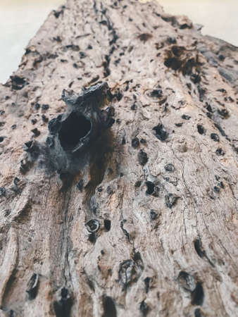 Wood wall or floor texture abstract texture surface background use for backgroundの写真素材