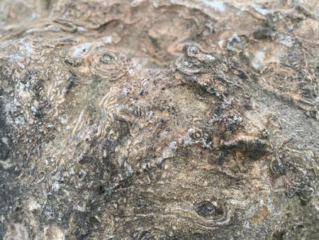 Stone wall or floor texture abstract texture surface background use for backgroundの写真素材