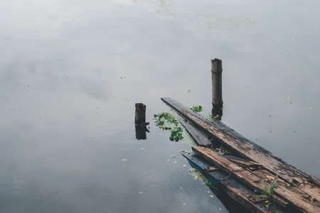 Swamps and dangerous wooden bridge in the nature forest environmentの写真素材