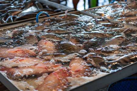 Whole fresh raw sea fishes variety premium grade for sale at seafood and fish market or Thai street...