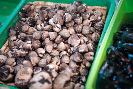 Fresh raw sea cockles clams display for sale at seafood market or Thai street food use for cook steamed blanched cockles clamsの写真素材