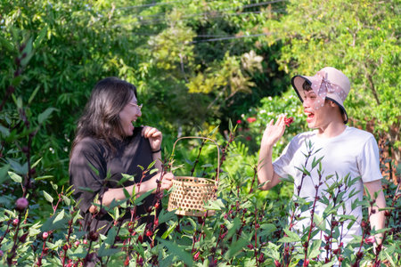 Two Thai LGBTQ friends laughing and picking roselle in green garden during warm evening light showing joy friendship love and peaceful simple lifestyle in natureの写真素材