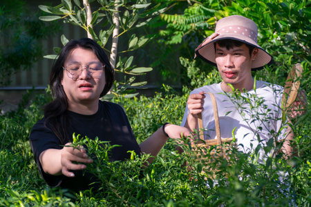 Two Thai LGBTQ friends harvesting chili peppers in green garden smiling and enjoying simple rural life together under warm sunlight in peaceful atmosphereの写真素材