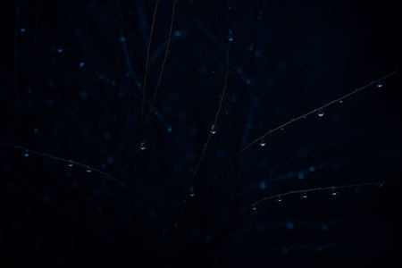 AI generated macro scene of delicate branches covered with glowing dew drops in deep blue light creating a calm mysterious quiet night mood with soft bokeh and clean spaceの素材