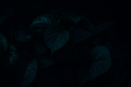AI generated moody botanical scene with layered deep green leaves softly lit by cool teal highlights creating a calm mysterious and atmospheric background suitable for nature design emotional visualsの素材