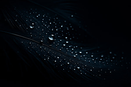 AI generated macro fine art of dark feathers with shimmering water droplets creating a calm deep and ethereal mood with soft textures and silver highlightsの素材