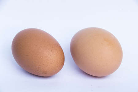chicken egg