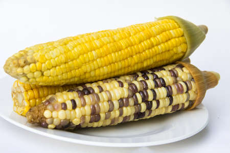 sweetcorn on white plateの写真素材