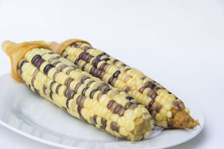 sweetcorn on white plateの写真素材