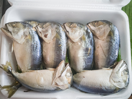 stream short mackerel in fresh market, Thailandの写真素材