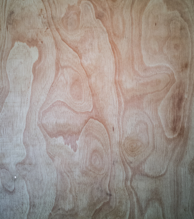 Rain tree wood wall, pinewood backgroundの写真素材