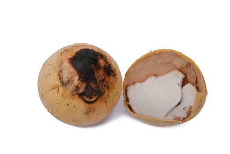 coconutの写真素材