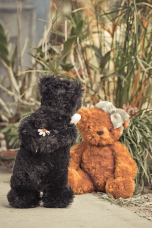 Teddy bearの写真素材