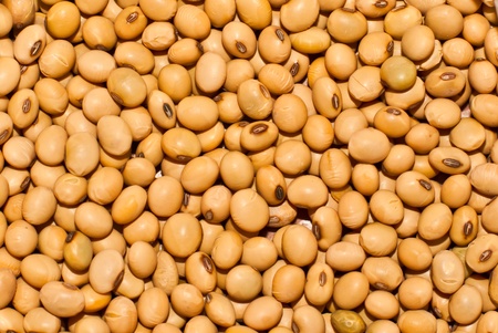 Soybeansの写真素材