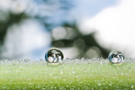 Dew on the grassの写真素材