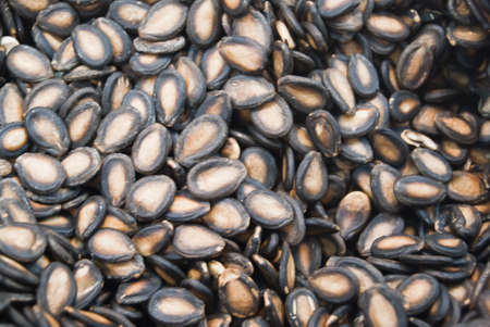 Watermelon seedsの写真素材