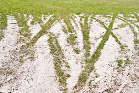 Green car wheelの写真素材