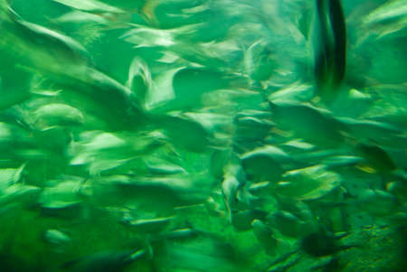 aquariumの写真素材