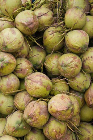 coconut