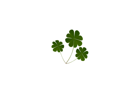 Clover