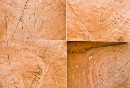 Woodenの写真素材