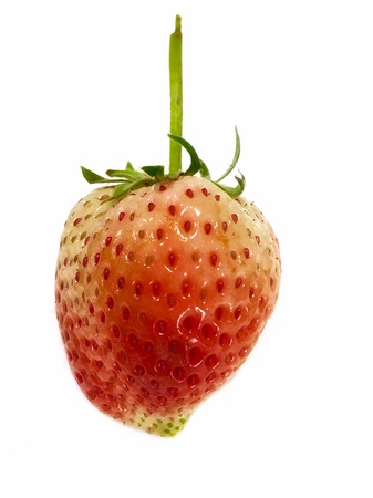 Strawberry on white backgroundの素材