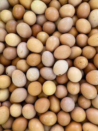Eggs background. Top view of fresh eggs. Food background.の写真素材