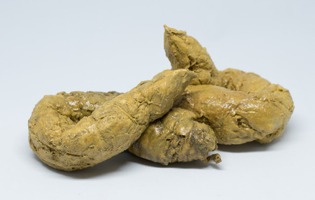 Real Feces On White Backgroundの写真素材