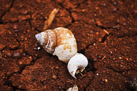 Aridity of Earthの写真素材