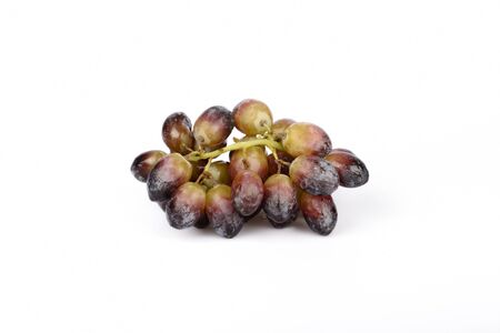 picture of grapes isolated on white backgroundの写真素材