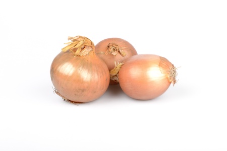 pictue of cooking onion on white backgroundの写真素材