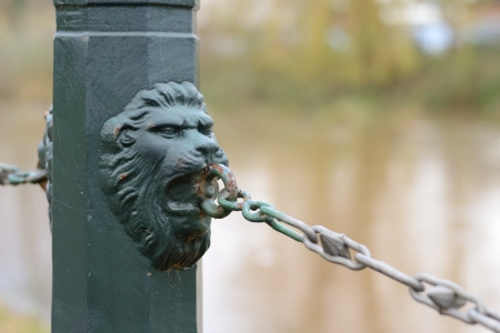 close up of lion chain fence in the parkの写真素材