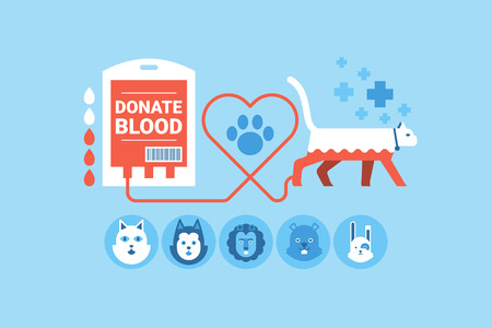 Illustration of animal blood donation flat design concept with icons elementsのイラスト素材