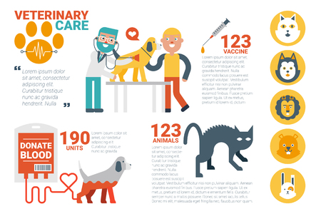 Illustration of veterinary care infographic flat graphic design ideal for magazine or websiteのイラスト素材