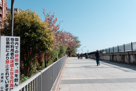 TOKYO, JAPAN - APRIL 9, 2023: People enjoy walking at Sumida reiver walk