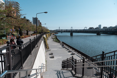 TOKYO, JAPAN - APRIL 9, 2023: People enjoy walking at Sumida reiver walkのeditorial素材