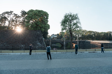 TOKYO, JAPAN - APRIL 9, 2023: Pine tree in Kokyo Gaien National Gardenのeditorial素材